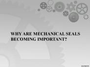 Why are Mechanical Seals becoming Important? | LEAK-PACK