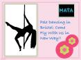 Pole Dancing in Bristol: Come Fly with Us in New Way PowerPoint PPT Presentation