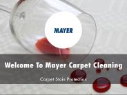 Information Presentation Of Mayer Carpet Cleaning