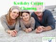 Carpet, Area Rug, & Upholstery Cleaning in Toronto PowerPoint PPT Presentation