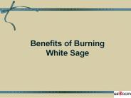 Benefits of Burning White Sage