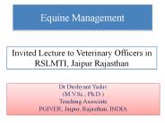 equine management (1)