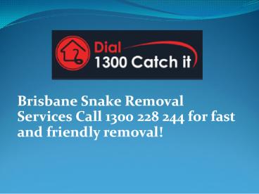 Snake Catcher Brisbane