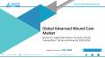 Global Advanced Wound Care Market Overview 2018 PowerPoint PPT Presentation