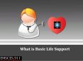 What is Basic Life Support (1) PowerPoint PPT Presentation