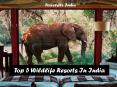 Top 5 Wildlife Resorts In India - Jungle Resorts In India PowerPoint PPT Presentation