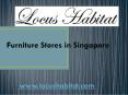 Furniture Leather Singapore - locushabitat.com PowerPoint PPT Presentation