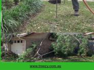 Step by step directions for burning a stump