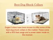 Best Dog Shock Collars