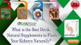 What is the Best Drink, Natural Supplements to Flush Your Kidneys Naturally? PowerPoint PPT Presentation