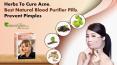 Best Blood Purifier Herbs to Cure Acne Problem Naturally at Home PowerPoint PPT Presentation