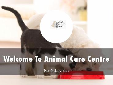 Animal Care Centre Presentation