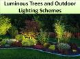 Luminous Trees and Outdoor Lighting Schemes PowerPoint PPT Presentation