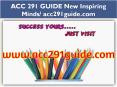 ACC 291 GUIDE New Inspiring Minds/ acc291guide.com PowerPoint PPT Presentation