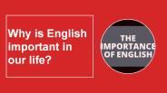 Why is English important in our life