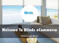 Blinds Valley Presentation PowerPoint PPT Presentation