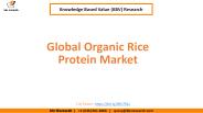 Global Organic Rice Protein Market