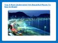 Top 5 Most Underrated Yet Beautiful Places To See In Brazil PowerPoint PPT Presentation
