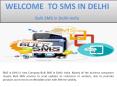 Best Bulk SMS Service in Delhi PowerPoint PPT Presentation