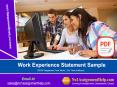 No1AssignmentHelp.Com provides the Work Experience Statement Sample PowerPoint PPT Presentation