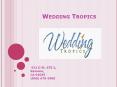 Beach Wedding Attire - Wedding Tropics PowerPoint PPT Presentation