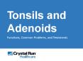 Tonsils and Adenoids: Functions, Common Problems, and Treatments PowerPoint PPT Presentation