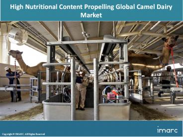 Global Camel Dairy Market Size, Demand Analysis, Growth Status, Opportunity & Forecast till 2018-2023