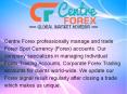 Professional Forex Managed Accounts (2) PowerPoint PPT Presentation