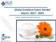Emollient Esters Market - Segmented by Product, Application and Region - Size, Share, and Forecast 2018 - 2024 PowerPoint PPT Presentation