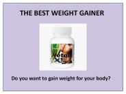 Vetoll XL Weight Gainer