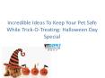 Incredible Ideas To Keep Your Pet Safe While Trick-O-Treating: Halloween Day Special PowerPoint PPT Presentation
