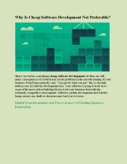 Why Is Cheap Software Development Not Preferable?