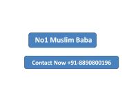 Vashikaran Specialist In Usa