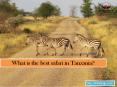 What is the best safari in Tanzania PowerPoint PPT Presentation