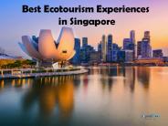 Best Ecotourism Experiences in Singapore