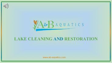 Lake Cleaning and Restoration - A & B Aquatics