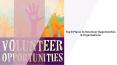 Top 8 places to volunteer opportunities & organizations PowerPoint PPT Presentation