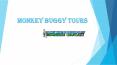 Monkey Buggy Tours PowerPoint PPT Presentation