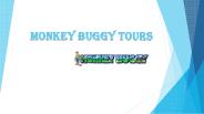 Monkey Buggy Tours