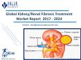 Global Kidney/Renal Fibrosis Treatment Market Research Report | Latest Trends, Growth & Forecast 2018 to 2024 PowerPoint PPT Presentation