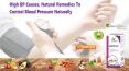 High BP Causes, Natural Remedies to Control Blood Pressure Naturally PowerPoint PPT Presentation