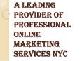 Development of Professional Online Marketing Services NYC PowerPoint PPT Presentation