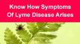 Know How Symptoms Of Lyme Disease Arises PowerPoint PPT Presentation