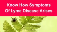 Know How Symptoms Of Lyme Disease Arises