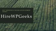 Best Wordpress design and development services provider