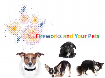 Fireworks and Your Pets