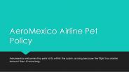 Aeromexico Airline Pet Policy