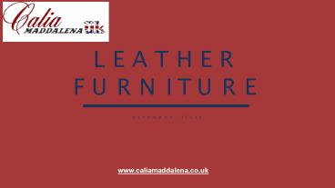Leather Furniture (1)