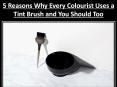 5 Reasons Why Every Colourist Uses a Tint Brush and You Should Too PowerPoint PPT Presentation