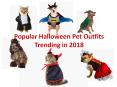 Popular Halloween Pet Outfits Trending in 2018 PowerPoint PPT Presentation